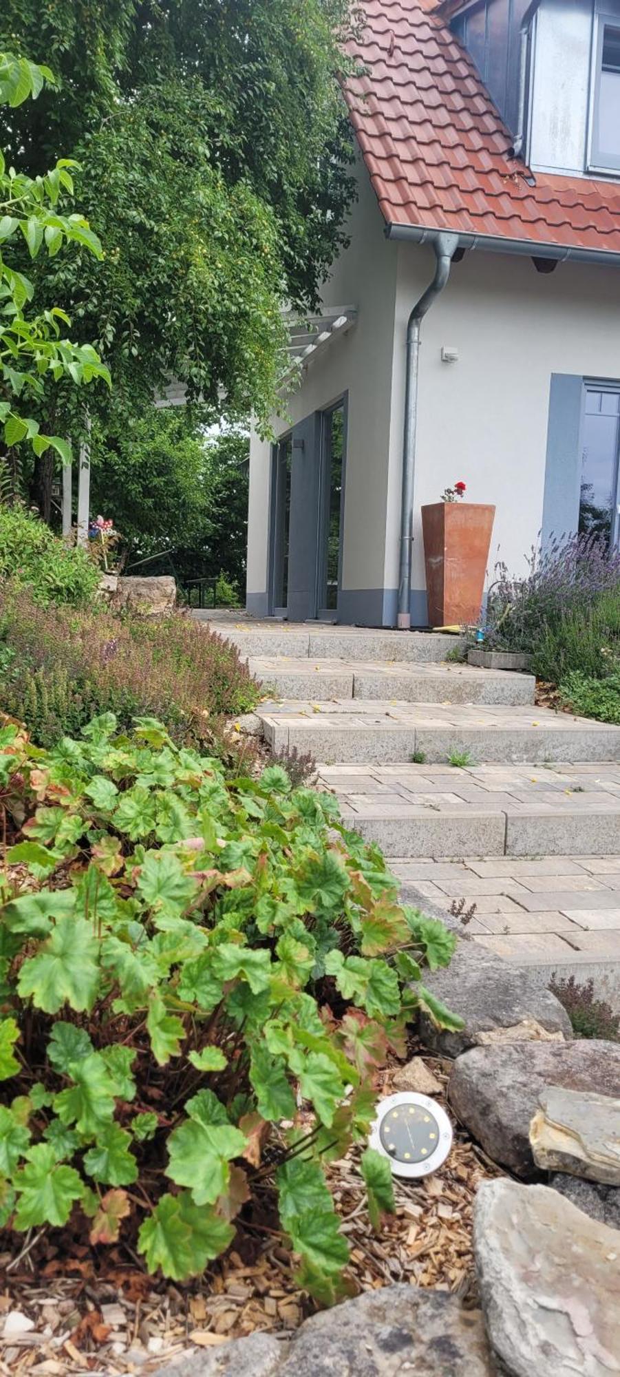 In der alten Gärtnerei B&B Neuhof an der Zenn Exterior foto
